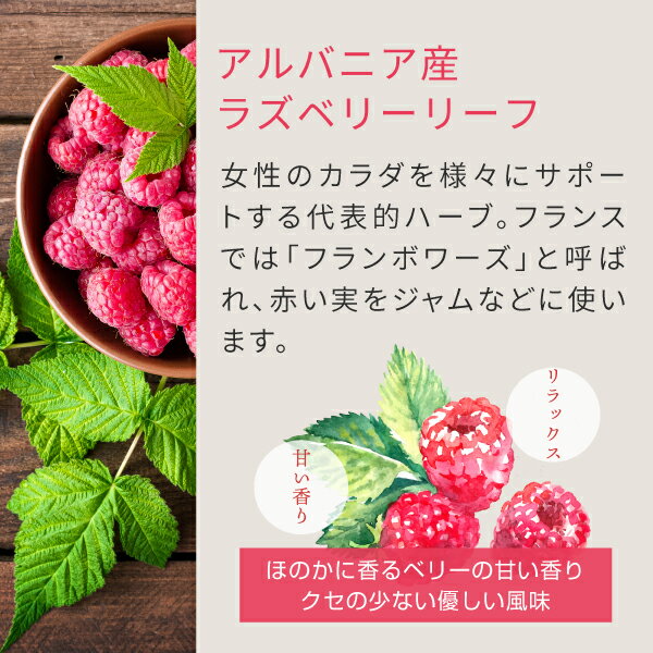 �饺�٥꡼�꡼�եƥ��� 100g �饺�٥꡼�꡼�� ������줿 �ϡ��֥ƥ��� nichie �˥�����