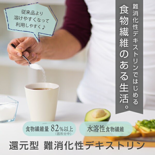 難消化性デキストリン 水溶性食物繊維 還元型 400g フランス産 溶けやすい 微顆粒品 食物繊維(ファイバー) 粉末 L90 nichie ニチエー