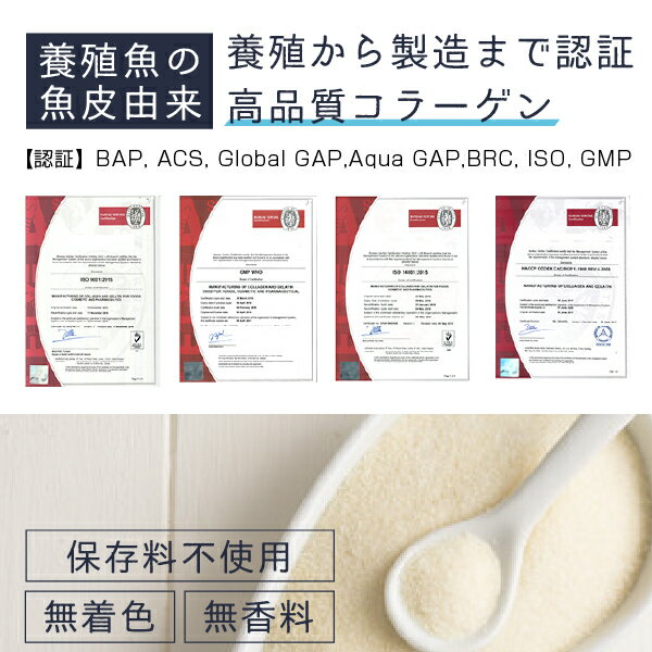 【BASIC】コラーゲン 粉末 サプリ 100% 500g フィッシュ ベーシック コラーゲンペプチド を手軽に摂取 コラーゲンパウダー nichie ニチエー