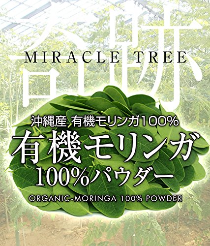 有機 モリンガパウダー サプリ 100g 沖縄産 国産 無農薬 オーガニック モリンガ 粉末 サプリメント モリンガ粒 モリンガ茶 をお探しの方にも nichie ニチエー