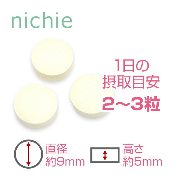 キトサン サプリメント 540粒（約6ヶ月分） ダイエット 中にトル食事の余分な 油 が気になる方へ nichie ニチエー #別売詰め替えボトル対応