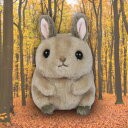 あみゅ まるころリスのころりん STきゃめるん アミューズ キャラクター リス 小動物 ぽっちゃり ころっころ インテリア 雑貨 キッズ スタンダートタイプ キ...