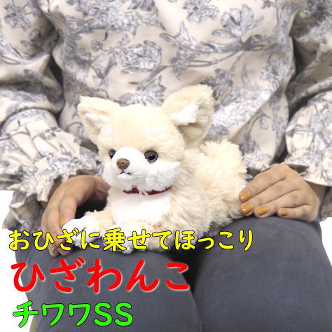 【サンレモン】ぬいぐるみ ひざわんこ チワワSSサイズ 膝乗せ 犬 ドッグ 膝ワンコ 暖かい 程よい重み 母の日 父の日 敬老の日 プレゼント ギフト