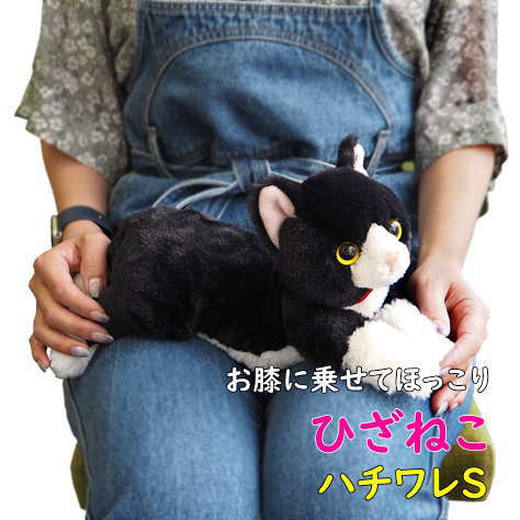 【サンレモン】ぬいぐるみ ひざねこ ハチワレSサイズ 膝乗せ 猫 キャット 膝ネコ 暖かい 程よい重み 母の日 父の日 敬老の日 プレゼント ギフト