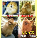 川本愛子製作 完全オーダーメイド犬・猫のぬいぐるみ・Lサイズ 体長約41～50cm手作り 一点物 作家 再現 ペット 甦る 2