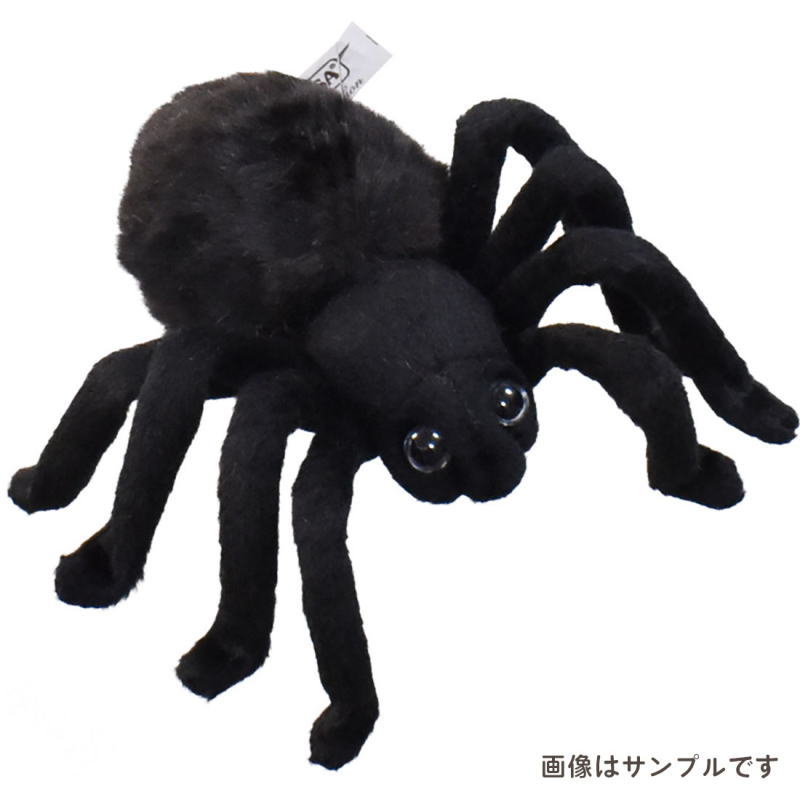 ハンサぬいぐるみ ブラックタランチュラ19cm くも クモ 黒蜘蛛