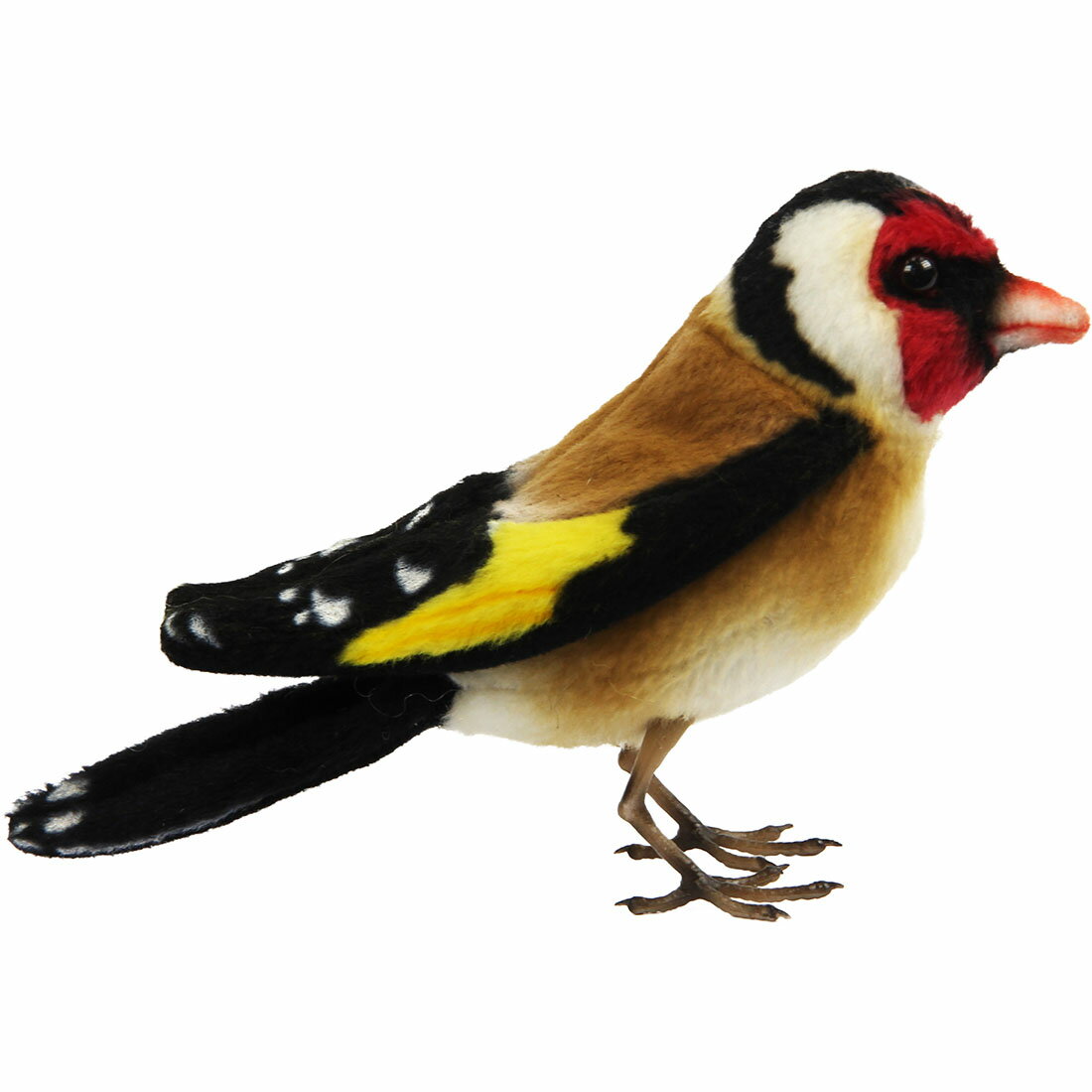 nTyHANSAzʂ SVLq13 GOLDFINCH  Ƃ肿     