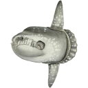 ハンサ【HANSA】ぬいぐるみ マンボウ 52 SUN FISH オーストラリア ブランド hansa かわいい 映える 開店祝い 内祝い 誕生日祝い