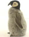 ハンサぬいぐるみ赤ちゃん皇帝ペンギン24cm コウテイペンギン