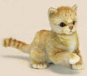 ハンサ【HANSA】ぬいぐるみ 子ネコ ジンジャー20cm 仔猫 ペット オーストラリア ブランド hansa かわいい 映える 開店祝い 内祝い 誕生日祝い