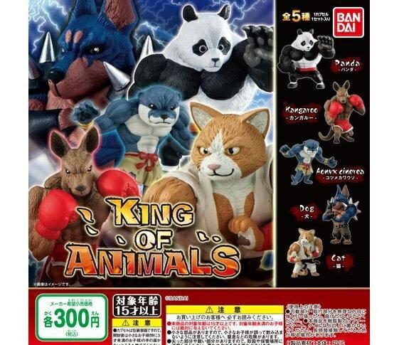 乐天商城 - 【送料無料】KING OF ANIMALS キング オブ アニマルズ 全5種セット 【佐川急便出荷】