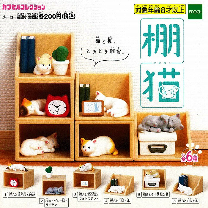 【送料無料】カプセルコレクション 棚猫 全6種セット 【クリックポスト出荷】