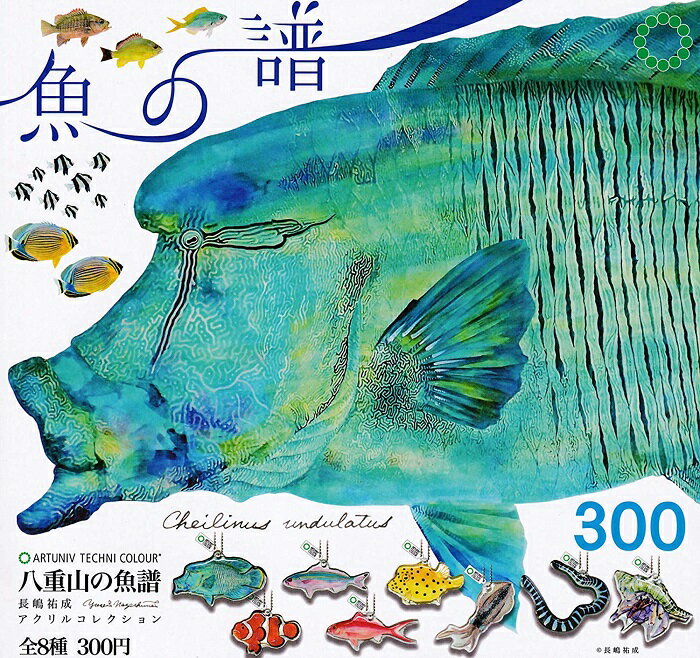 【送料無料】アートユニブテクニカラー 八重山の魚譜 長嶋祐成アクリルコレクション 全8種セット 【クリックポスト出荷】のサムネイル