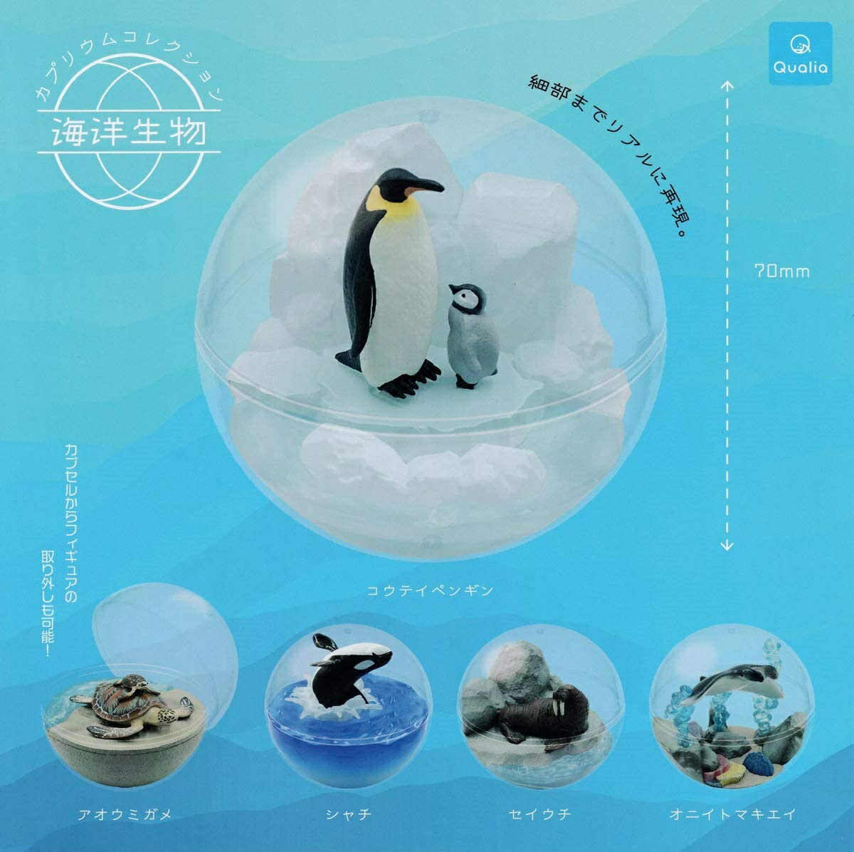 【送料無料】カプリウムコレクション 海洋生物 全5種セット 【佐川急便出荷】