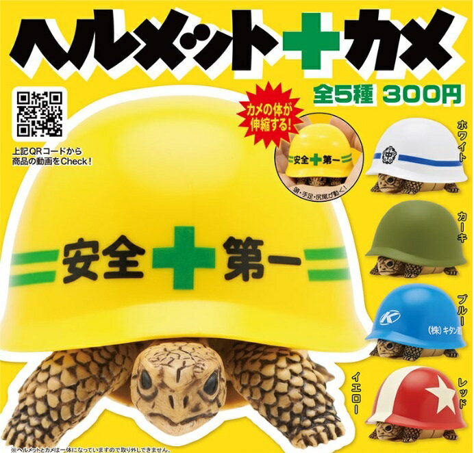 【送料無料】ヘルメット＋カメ 全5種セット 【佐川急便出荷】のサムネイル
