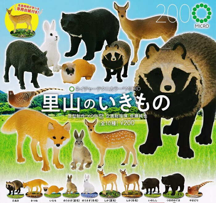 乐天商城 - 【送料無料】里山のいきもの 全10種セット 【クリックポスト出荷】