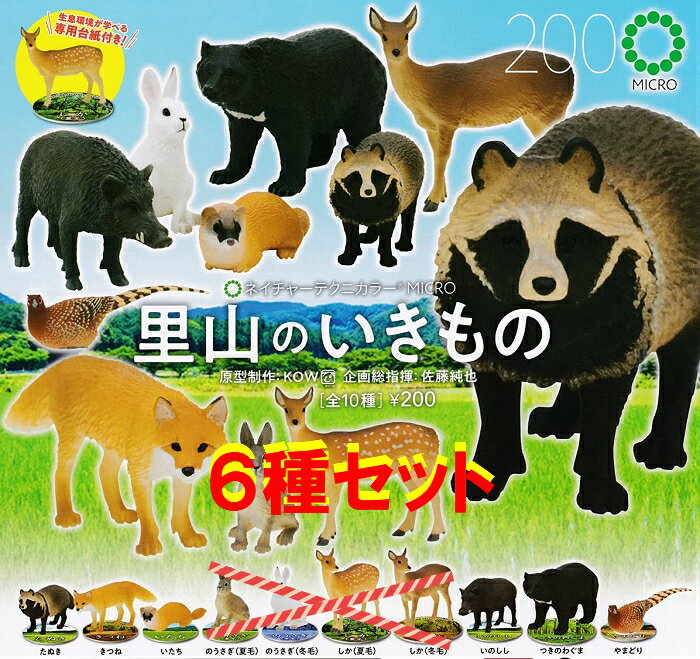 乐天商城 - 【送料無料】里山のいきもの 6種セット 【クリックポスト出荷】