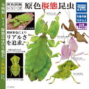 原色図鑑シリーズ 原色擬態昆虫 全4種セット