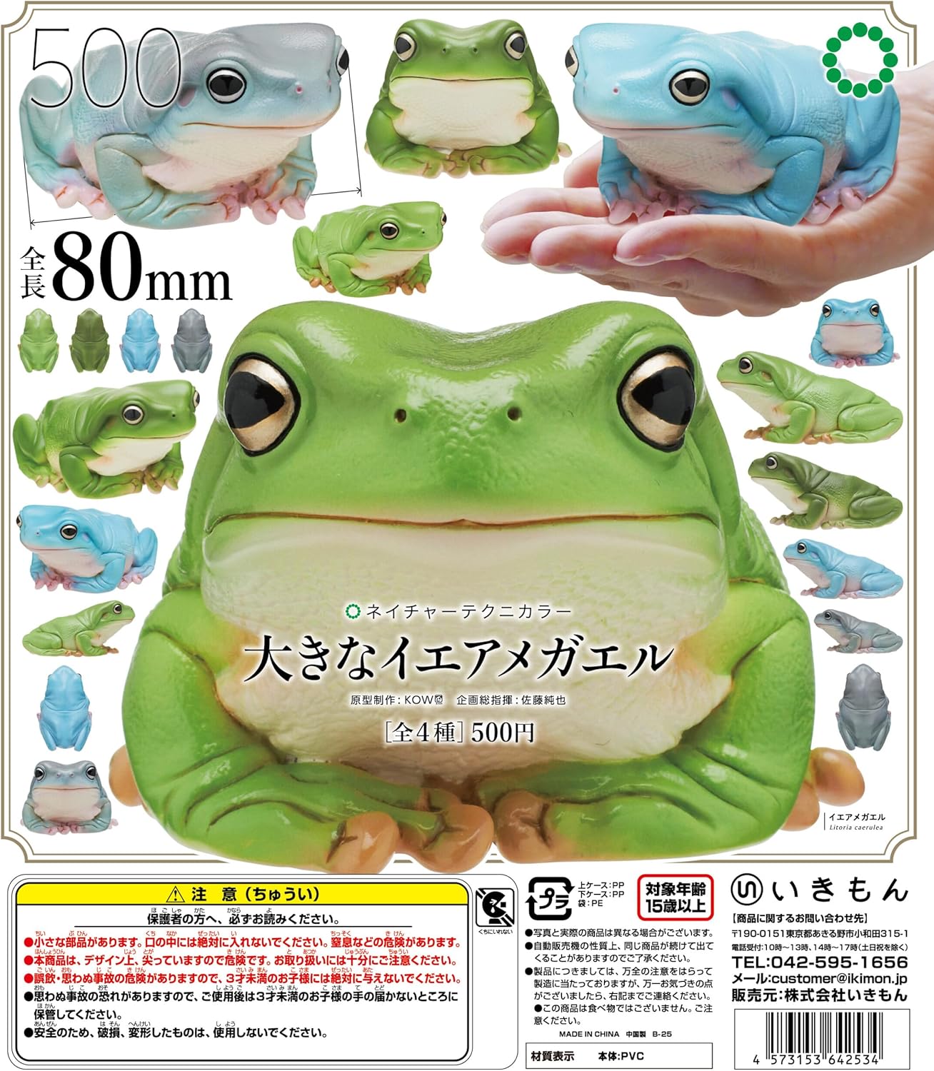 人気のカエル2匹 飼育ケージセット