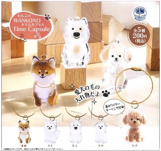 【送料無料】わんこのタイムカプセル 全5種セット【クリックポスト出荷】