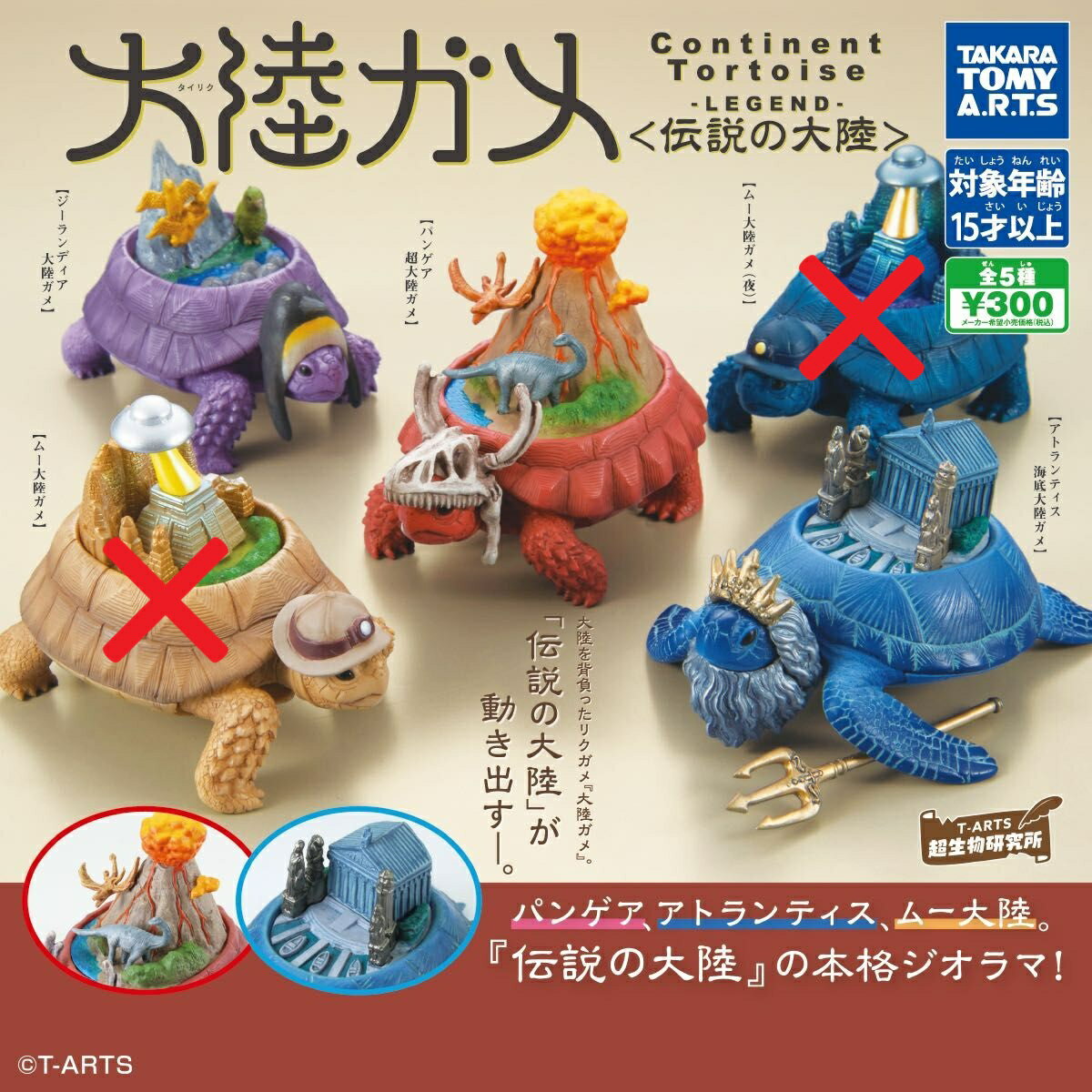 樂天商城 - 【送料無料】大陸ガメ 伝説の大陸 ☆3種セット 【佐川急便出荷】