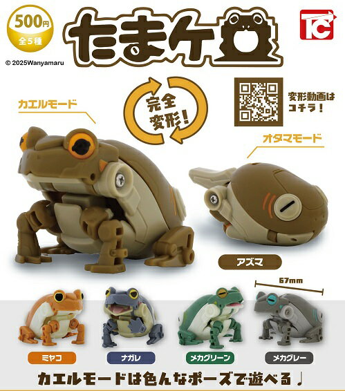 製品画像：26位