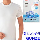 インナー メンズ GUNZE 夏ひんやりタッチ 半袖丸首 RB47142 RB4714A 2枚組 llサイズ 大きいサイズ クールコート加工 綿100％ グンゼ 肌着 紳士 gunze 涼しい 冷感 夏用 インナーシャツ (03238)