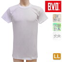 インナー メンズ B.V.D. 丸首半袖Tシャツ FE313 単品 llサイズ 大きいサイズ ゆったり メンズ bvd メンズ 下着 メンズ 丸首 インナー 半袖 クルーネック bvd インナー b.v.d. 綿100% uネック tシャツ 無地 メンズ(03569)(4)