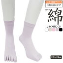 5本指ソックス レディース いたわり設計 さわやか 綿 しめつけにくい 日本製 51-835 単品 婦人靴下 5本指靴下 綿混 コットン 冷え性対策 ニオイ対策 しめつけ解消 クチゴム(05537)(4)