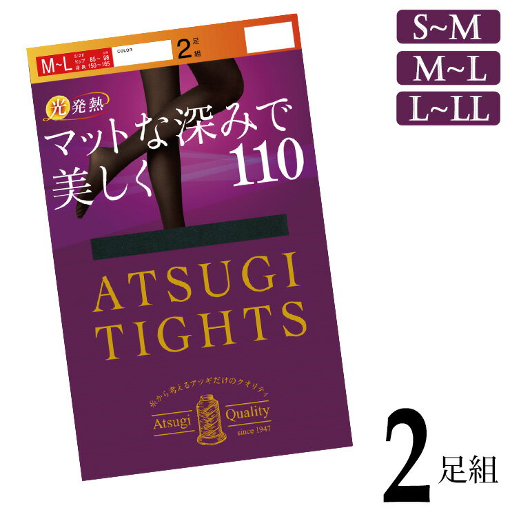 タイツ レディース アツギ 110デニール FP13112P 2足組 atsugi あったか 暖かい あたたかい 黒 発熱タイツ 秋冬 抗菌 防臭（05837）