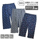 メンズ ステテコ アソート 大きいサイズ 前開き プリント柄すててこ 3枚組 送料無料 おまかせ まとめ買い ステテコ エコ 部屋着 夏 リラコ ルームウェア パンツ 父の日 敬老の日(06800)