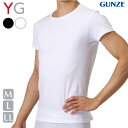 ■商品名 メンズ インナー GUNZE YG 丸首 半袖Tシャツ YV0013N 単品 ■特徴 COTTON 100％ GUNZE YG 世界的にも評価の高い上質なアメリカ綿を使用。 ■「着心地を感じる」ここちよさのヒミツ カラダのラインに合わせ着圧を均一にすることで絶妙なフィット感を実現。 ■触れると分かる「やわらかさ」 特殊紡績手法でやわらかい風合いを実現。毛羽も少なく生地に光沢感を与えます。 ■抗菌防臭 繊維上の細菌の増殖を抑え、ニオイの発生を抑制。 ・ネックスタイル 細巾仕様でスッキリスマートに。 ・アートフォルム カラダのラインに沿ったフォルムでYシャツの下に着ても裾部分がもたつかない。 ・裾仕様 フラットで厚みを感じさせない裾仕様 ■サイズ M 胸囲：88～96cm 身長：165～175cm 胴囲：76～84cm L 胸囲：96～104cm 身長：175～185cm 胴囲：84～94cm LL 胸囲：104～112cm 身長：175～185cm 胴囲：94～104cm 3L 胸囲：108～116cm 身長：175～185cm 胴囲：98～108cm ■素材 本体：綿100％ (フライス《耐久柔軟/抗菌防臭加工》) 首テープ部：綿80％・ポリエステル20％ ■配送 ※ネコポス対応商品です。 （2枚まで同梱可能） ■ご注意 ※ネコポス配送（ポスト投函でお届け）の場合、日時指定のご利用はいただけません。 ※合計4枚まではネコポス配送が優先されます。 ※PC・スマートフォンのメール設定により、当店からのメールが届かない場合がございます。迷惑メール設定・受信設定等をご確認ください。 ※画面上と実物では多少色具合が異なって見える場合もございます。ご了承ください。