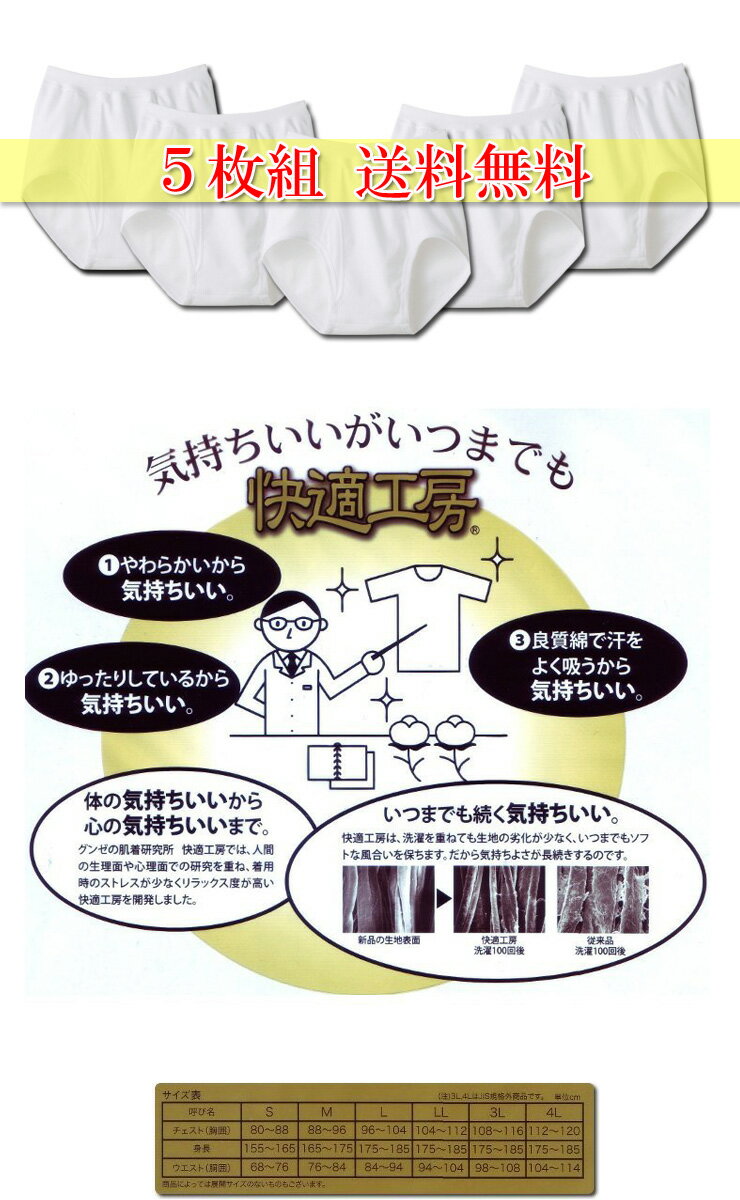 �֥꡼�� ��� ���� ��Ŭ��˼ ���ѥ�֥꡼�� KH5032 5���� ����̵�� 3l������ �»β��� ������������� gunze �礭�������� ��ä��� �ޤȤ��㤤 5��(01649)