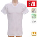 インナー メンズ BVD U首半袖Tシャツ FE314 単品 LLサイズ 大きいサイズ シャツ コットン オールシーズン bvd 下着 肌着 ブランド 綿100% b.v.d.(03561)(4)