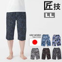 すててこ 綿100% ステテコ メンズ インナー ボトム パンツ as 1120-66 LL 前開き 日本製 男性 コットン 楊柳 ひざ下丈 夏 涼しい 父の日...