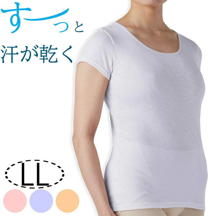 Short Sleeves - 半袖 インナー レディース tシャツ フレンチ袖 as 7319-31 LL 肌ごころ すーっと汗が乾く 汗取り 吸水速乾 日本製 春 夏 さらさら サラサラ （06611）