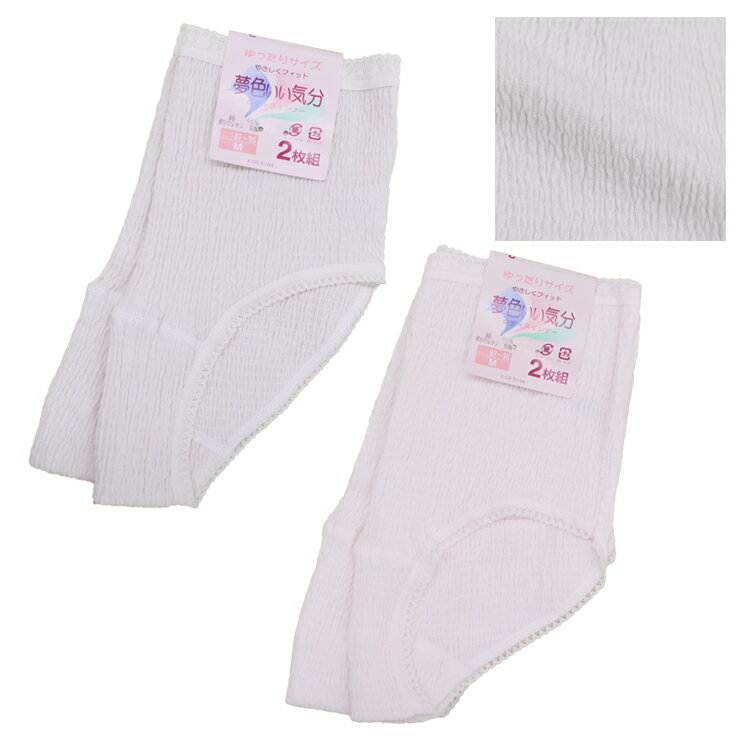レディース ショーツ 夢色いい気分 20-254 2枚組 送料無料 綿混 ストレッチ のびのび 伸びる レギュラー ゆったり パンティ 下着 (03587)