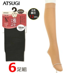 å ǥ ATSUGI  尵Ҥ Ҥ FS4010 6­ ̵ ĥ atsugi  ǥ Ҥ 尵 尵å 03967