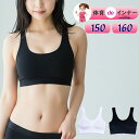 ハーフトップ ジュニア 体育deインナー DRY&SPORTS 33092 33300 送料無料 ブラトップ カップ付き ブラジャー パット付き 吸汗速乾 スト...