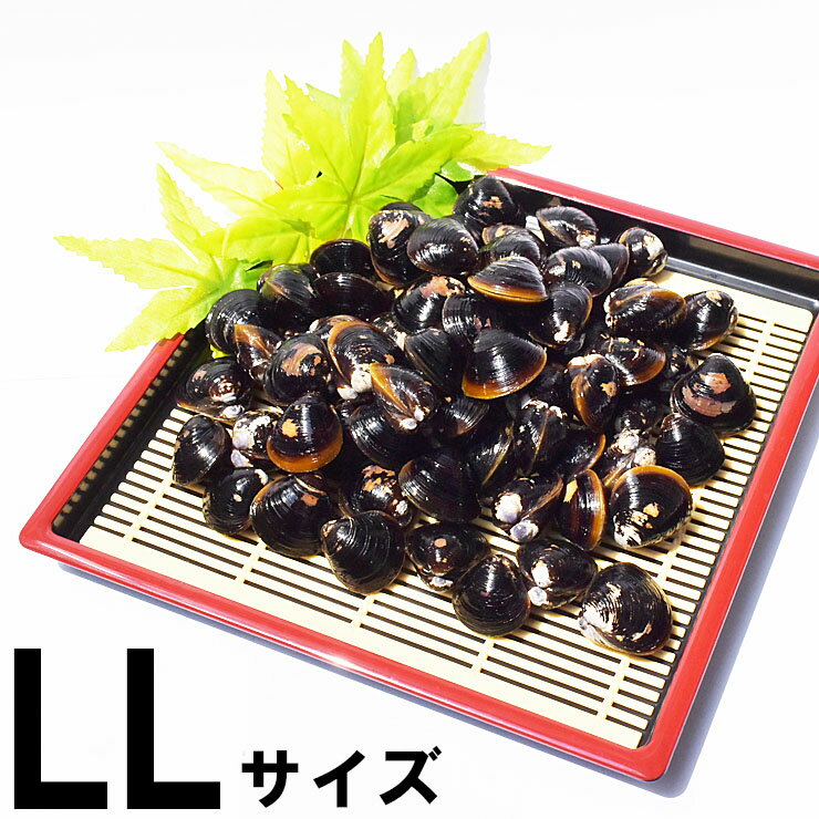 しじみ 冷凍 LL 宍道湖産 シジミ 砂抜き済み 1kg 2kg 3kg シジミ汁 しじみ汁 味噌汁 お吸い物 具 大和しじみ 国産 天然 健康 二日酔い 貝 漁師直送 新鮮 島根県 出雲 しじみ庵