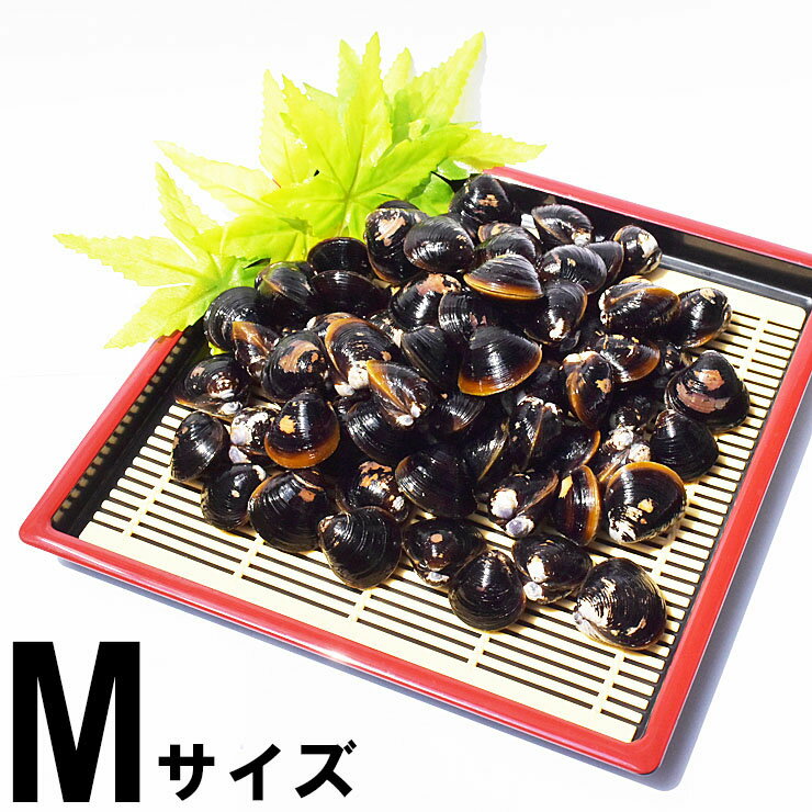 しじみ 冷凍 M 宍道湖産 シジミ 砂抜き済み 1kg 2kg 3kg シジミ汁 しじみ汁 味噌汁 お吸い物 具 大和しじみ 国産 天然 健康 二日酔い 貝 漁師直送 新鮮 島根県 出雲 しじみ庵