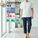 メンズ ステテコ アソート 大きいサイズ 前開き すててこ 3枚組 送料無料 おまかせ まとめ買い エコテコ 部屋着 夏 リラコ ルームウェア パンツ 父の日 敬老の日 肌着 (06238)