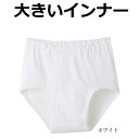 ブリーフ メンズ 前あき ブリーフ 13-804 13-824 大きいサイズ 2枚組 ビッグサイズ 3l 4l 5l 前開き 紳士 アンダーウェア(00084)(4)