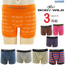 メンズ ボクサーパンツ GUNZE BODY WILD おまかせ 3枚組 送料無料 ボディワイルド ブランド パンツ ボクサーブリーフ gunze グンゼ 紳士下着 アンダーウェア まとめ買い (01931)