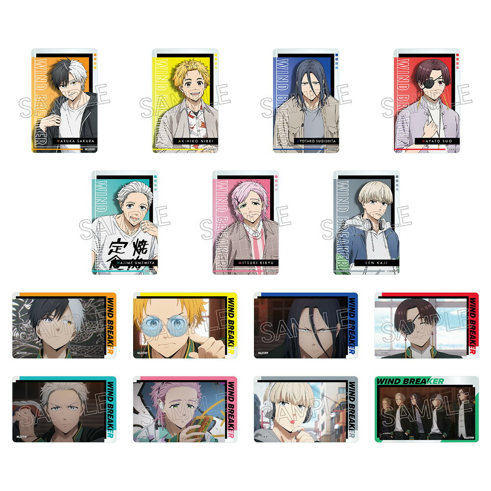 �ڿ���/������ WIND BREAKER_���ꥢ�����ɡ���BOX��10�ѥå������ �������å� �����饤���� colleize ���쥤�� ���˥� ����饯���� ���å�