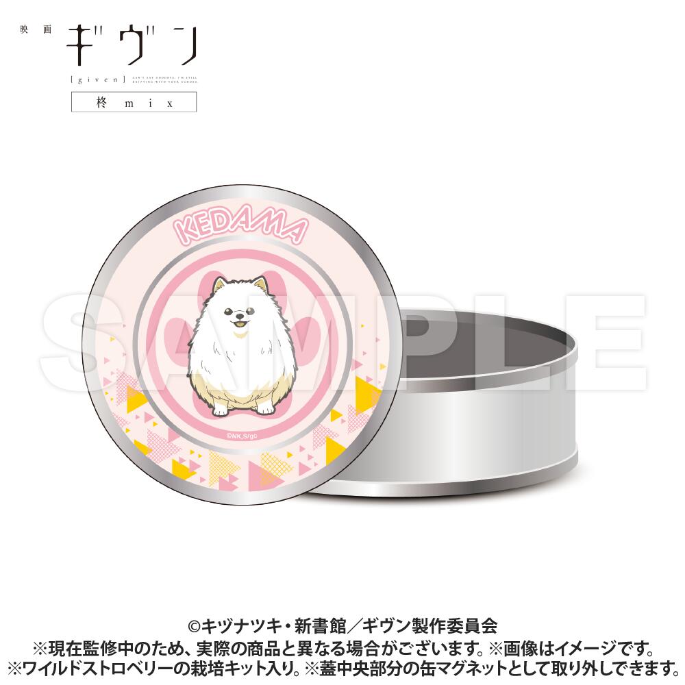 【新品/公式】 映画 ギヴン 柊mix_栽培キット入りギフト缶_毛玉 公式グッズ 公式ライセンス colleize コレイズ アニメ キャラクター グッズ