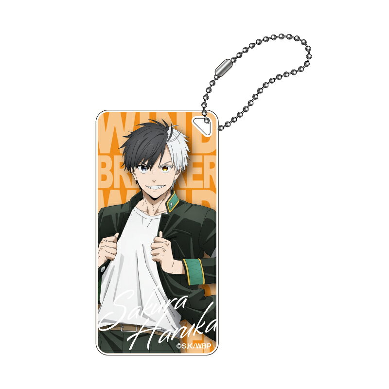 【新品/公式】 WIND BREAKER_ドミテリアキーチェーン 桜遥 公式グッズ 公式ライセンス colleize コレイズ アニメ キャラクター グッズ