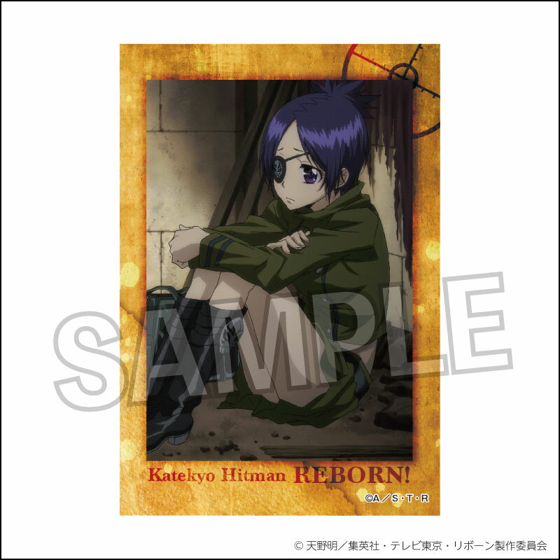 【新品/公式】 家庭教師ヒットマンREBORN!_スタパネ 22 公式グッズ 公式ライセンス colleize コレイズ アニメ キャラクター グッズ