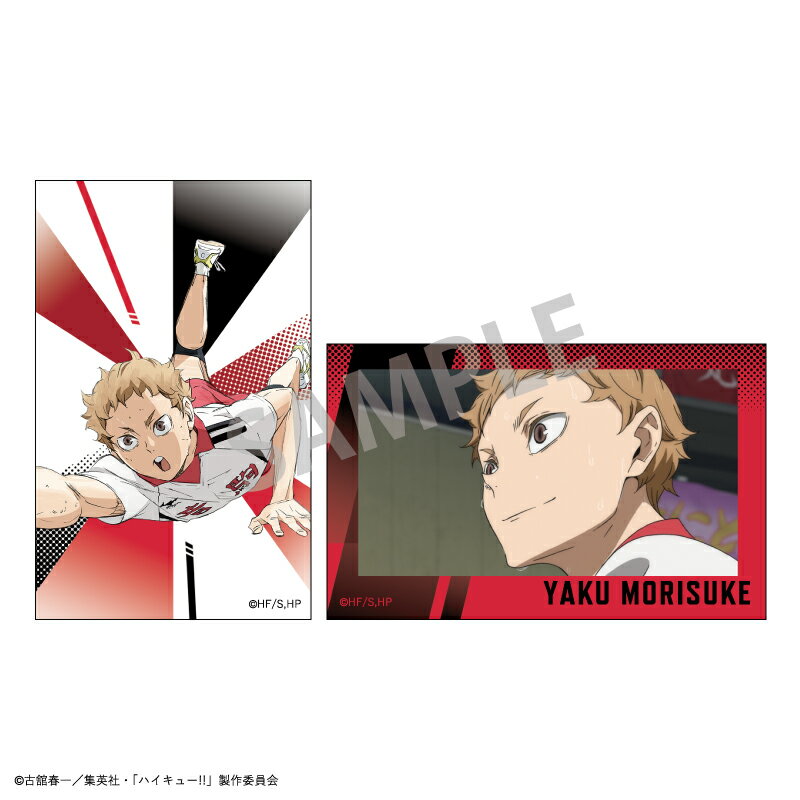 【新品/公式】 ハイキュー!!_Tinymide/夜久 衛輔 公式グッズ 公式ライセンス colleize コレイズ アニメ キャラクター グッズ