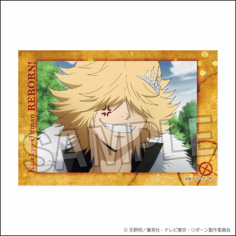 【新品/公式】 家庭教師ヒットマンREBORN!_スタパネ 20 公式グッズ 公式ライセンス colleize コレイズ アニメ キャラクター グッズ